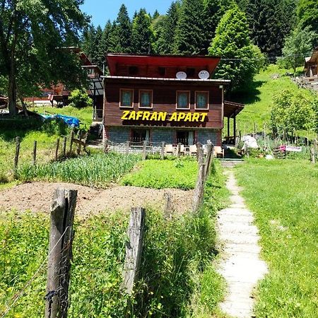 Villa Zafran 아이더 야일라시 외부 사진