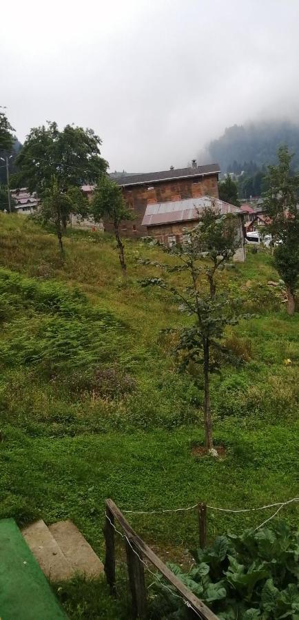 Villa Zafran 아이더 야일라시 외부 사진